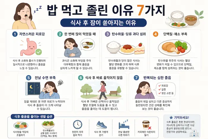  밥 먹고 졸린 7가지 이유와 식후 졸음을 줄이는 생활습관을 정리한 인포그래픽