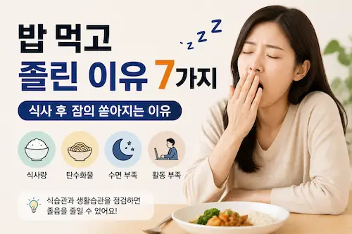 밥 먹고 졸린 이유와 식사 후 졸음에 영향을 주는 요인을 설명하는 대표 이미지